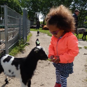 attività per bambini a den Haag