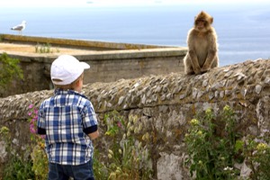 bambino gibilterra scimmietta