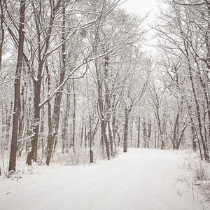 ciaspole nella neve