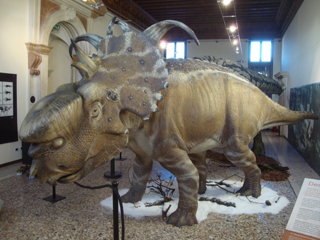 DCO Bassano Pachyrhinosaurus mostra