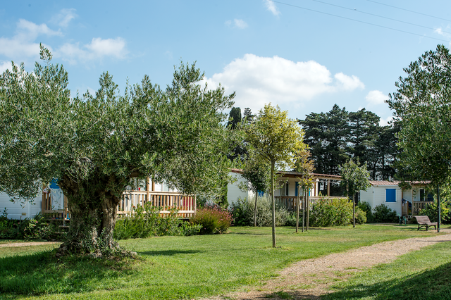 esterno casa villaggio toscana camping