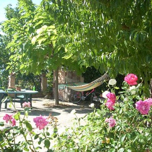fiori