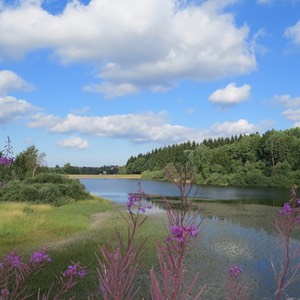 harz parchi germania