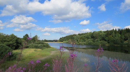 harz parchi germania