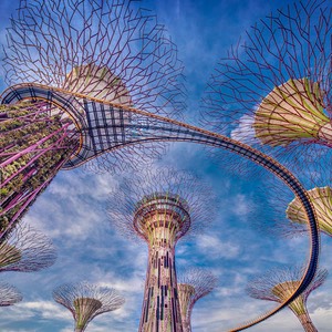 i superalberi dei giardini della baia di Singapore