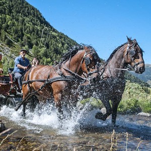 in giro con i cavalli al Canillo