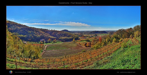 i vigneti del friuli venezia giulia