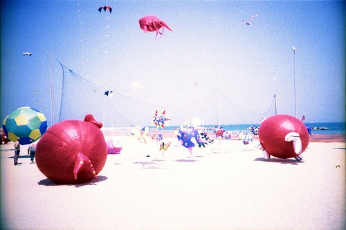 in spiaggia per vedere gli aquiloni