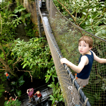 migliori attrazioni della Danimarca con bambini la foresta di Randers