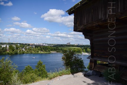 skansen 8