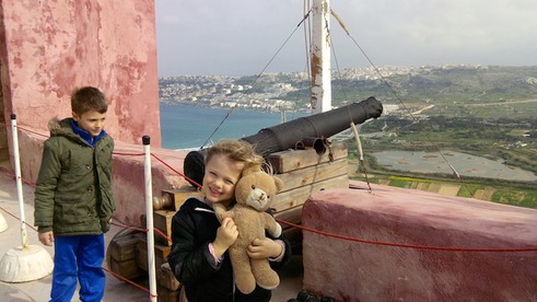 Teddy il nostro compagno di viaggio