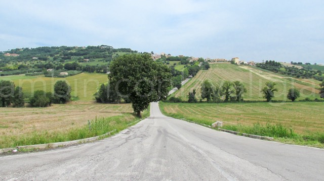 viaggiare in auto