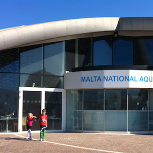 visita acquario malta