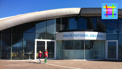 visita acquario malta