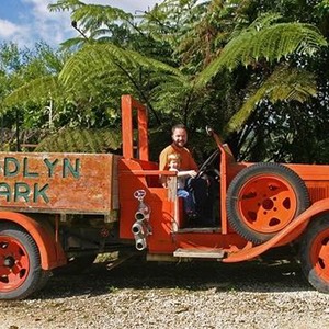 woodlyn park